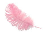 1/2 Lb - 12-16" Light Pink Ostrich Tail Wholesale Fancy Feathers (Bulk)