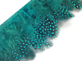 Blue green polka dotted fluffy feathers