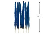 Complete Set of 6 - 21-22" Iridescent Blue And Yellow Macaw Tail Feather Set - Rare-