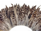 1 Yard - Natural Gray Chinchilla Strung Rooster Schlappen Wholesale Feathers (Bulk)