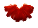 1 Pack - 2-3" Red Goose Coquille Loose Feathers - 0.35 Oz.