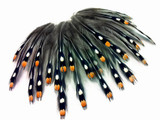 1 Piece - Grade B Natural Gold Jungle Cock Cape Complete Skin Pelt With Feather (bulk)