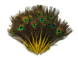 Yellow dyed natural colored small shiny peacock feathers
