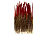 10 Pieces - 8-10" Natural Red Golden Pheasant Red Tip Loose Pointy Feathers