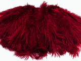 10 Pieces - 17-19" Burgundy Large Bleached & Dyed Ostrich Drabs Body Feathers