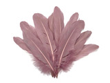 1/4 Lb. -  Taupe Goose Pallet Parried Soft Wing Quill Wholesale Feathers (Bulk)