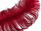 2 Pieces - 18-24" Burgundy Large Prime Grade Ostrich Wing Plume Centerpiece Feathers