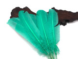 6 Pieces - Aqua Green Turkey Rounds Secondary Wing Quill Feathers