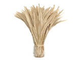 2.5 Inch Strip - 14-16" Ivory Strung Natural Bleach Coque Tails Feathers