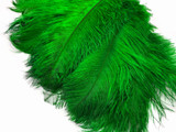 10 Pieces - 19-24" Kelly Green Ostrich Dyed Drabs Body Feathers