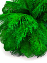 10 Pieces - 19-24" Kelly Green Ostrich Dyed Drabs Body Feathers