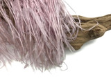 6 Inch Strip - Taupe Ostrich Fringe Trim Feathers