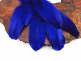 1/4 Lb - Royal Blue Goose Nagoire Wholesale Feathers (Bulk)