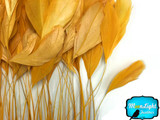  Gold Stripped Coque Tail Feathers Wholesale (Bulk)