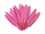 1 Pack - Candy Pink Dyed Duck Cochettes Loose Wing Quill Feather 0.30 Oz.