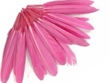 1/4 Lb. - Candy Pink Dyed Duck Cochettes Loose Wing Quill Wholesale Feather (Bulk)