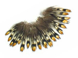 10 Pieces - Mini Natural Gold Jungle Cock Eye Loose Feather