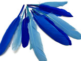 1 Pack - Sky Blue Dyed Duck Cochettes Loose Wing Quill Feather 0.30 Oz.