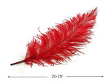 1/2 Lb - Red Large Ostrich Spads Wholesale Feathers 20-28" (Bulk)