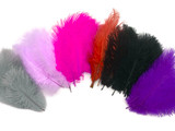 1 Pack - Purple Ostrich Small Confetti Feathers 0.3 Oz