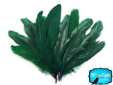 Dark green stiff soft feathers