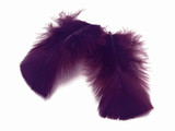 1/4 Lb - Plum Turkey T-Base Wholesale Body Plumage Feathers (Bulk)