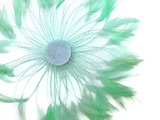 1 Piece - Mint Green Whole Beaded Pinwheel Stripped Rooster Hackle Feather Plates