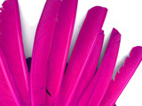 1/4 Lb - Hot Pink Turkey Pointers Primary Wing Quill Large Wholesale Feathers (Bulk)