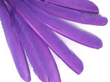 6 Pieces - Lavender Turkey Pointers Primary Wing Quill Large Feathers