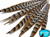 8-10" Natural Reeves Venery Pheasant Tail Wholesale Feathers (Bulk)