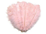 Light pink fluffy big ostrich feathers