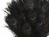 50 Pieces - 30-35" Black Bleached & Dyed Peacock Tail Eye Wholesale Feathers (Bulk) 