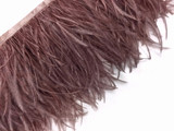 6 Inch Strip - Mocha Ostrich Fringe Trim Feather