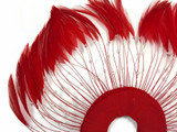 1 Piece - Red Half Beaded Pinwheel Stripped Rooster Hackle Feather Pads