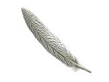 10 Pieces - 8-10" Natural Silver Tail Pheasant Feathers