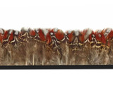 Rare Brown and Red Feather trim spotted and striped for crafts, sewing, costumes. 