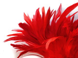 1 Yard - Red Bleached & Dyed Strung Rooster Schlappen Wholesale Feathers (Bulk)
