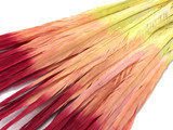 Ombre Multicolor Orange Red Yellow Long Tall Pheasant Tail Feathers