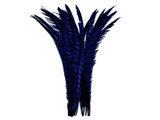 5 Pieces - 30-35" Navy Blue Zebra Lady Amherst Pheasant Tail Super Long Feathers