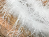2 Yards - Snow White 2 Ply Ostrich Medium Weight Fluffy Feather Boa