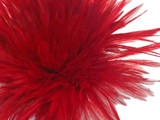 Red Strung Rooster Feathers for crafts