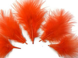 1 Pack - Orange Turkey Marabou Short Down Fluff Loose Feathers 0.10 Oz.