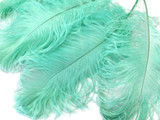 1/2 Lb - 12-16" Mint Green Ostrich Tail Wholesale Fancy Feathers (Bulk)