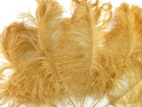 10 Pieces -  12-16" Antique Gold Dyed Ostrich Tail Fancy Feathers