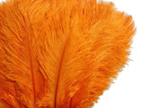 10 Pieces - 11-13" Orange Bleached & Dyed Ostrich Drabs Body Feathers