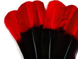 High quality dip dyed feathers.These black and red feathers are perfect for crafts and quill pens.