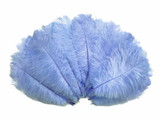 1/2 Lb - 17-19" Light Blue Ostrich Large Drab Wholesale Feathers (Bulk)