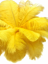 10 Pieces - 19-24" Yellow Ostrich Dyed Drabs Body Feathers