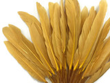 High quality old gold duck cochettes 3-4 inches in length. These feathers can be used for crafting, jewelry, and decorations.
