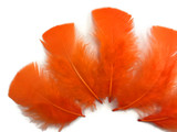 1/4 Lb - Halloween Mix Turkey T-Base Plumage Wholesale Feathers (Bulk)